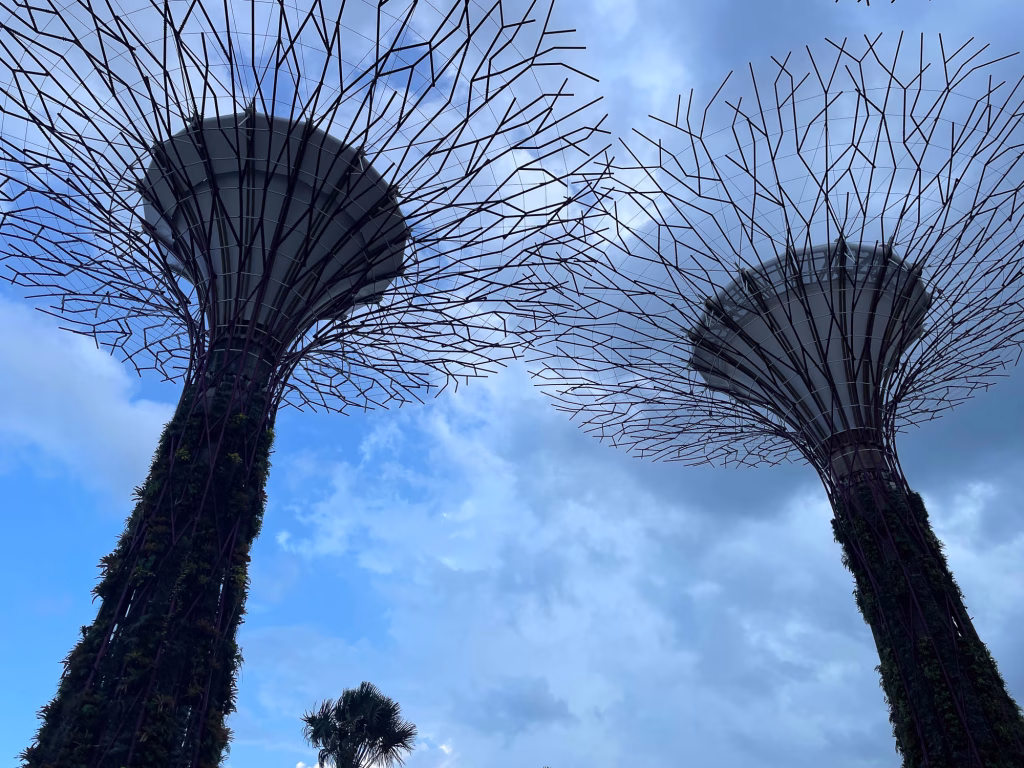Supertrees in Gardens by the Bay