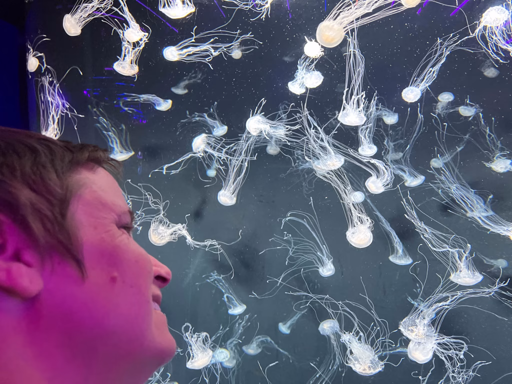 Schwimmen will ich da nicht mehr. (SEA Aquarium)