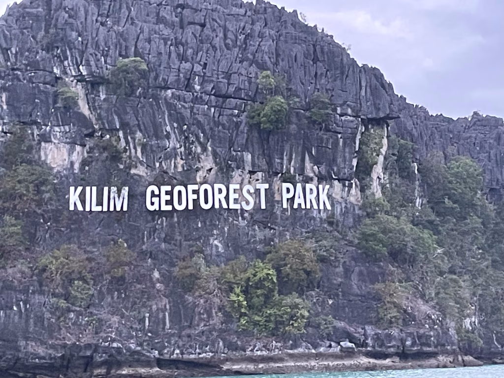 Der Kilim Geoforest Schriftzug