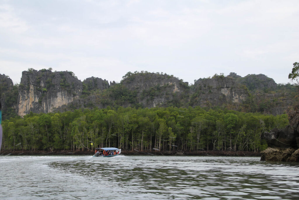 Auf Nightsafari in Langkawi