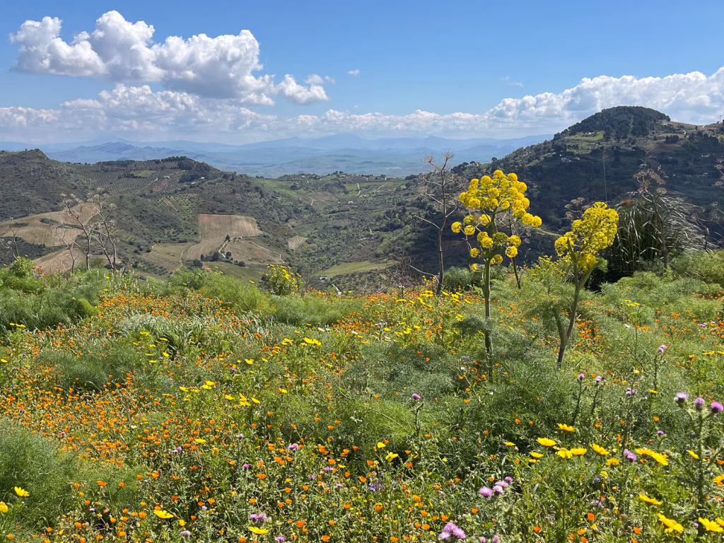 Blühendes Sizilien